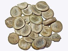 Strychnos nux-vomica - Karaskara 